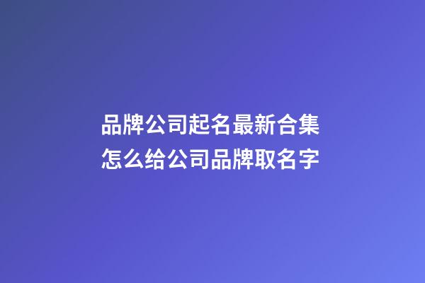 品牌公司起名最新合集 怎么给公司品牌取名字-第1张-公司起名-玄机派